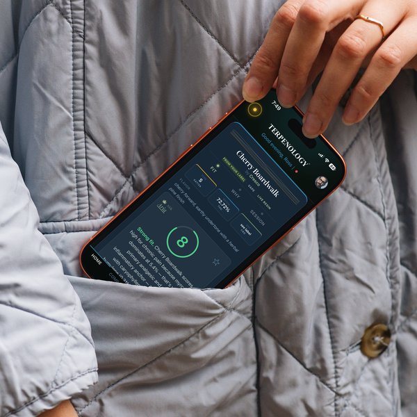 Terpenology open on a phone in a jacket pocket, on the go